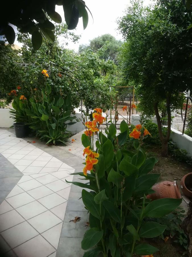 Apollo Otel Kávos Dış mekan fotoğraf