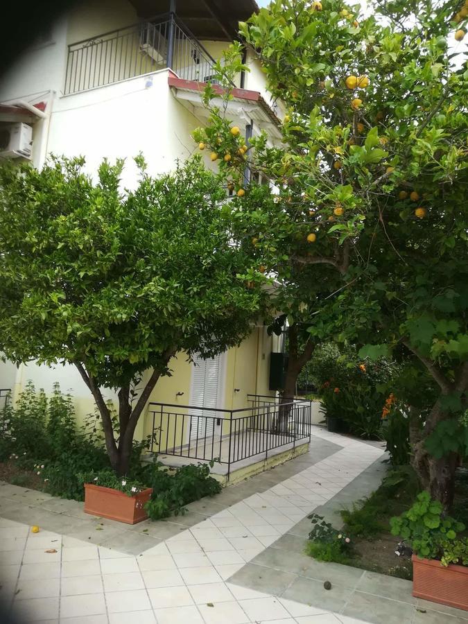Apollo Otel Kávos Dış mekan fotoğraf