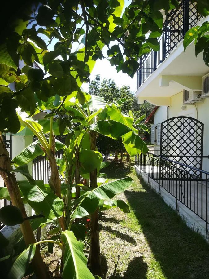 Apollo Otel Kávos Dış mekan fotoğraf