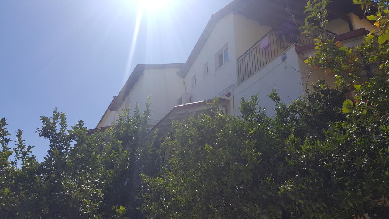 Apollo Otel Kávos Dış mekan fotoğraf