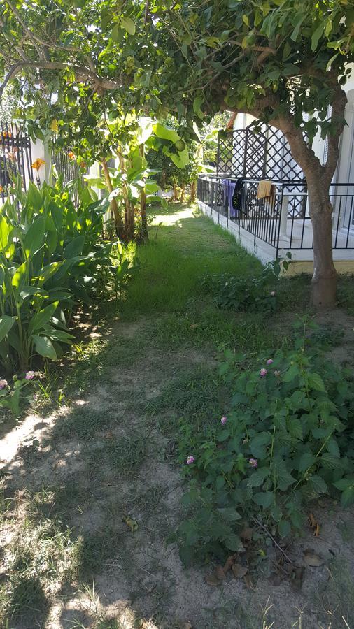 Apollo Otel Kávos Dış mekan fotoğraf