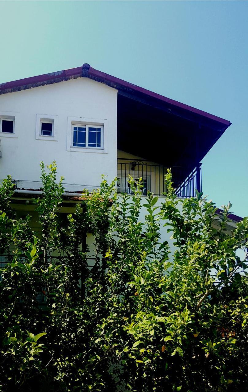 Apollo Otel Kávos Dış mekan fotoğraf